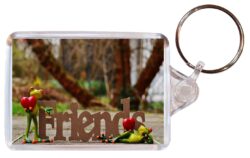 Friends / Hearts / Frogs - Valentines - Double Sided Large Keyring Key Fob Chain Ring Gift Present Souvenir