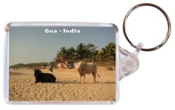 Goa - India - Double Sided Large Keyring Key Fob Chain Ring Gift Present Souvenir G4