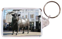 Hereford - Herefordshire - Double Sided Large Keyring Key Fob Chain Ring Gift Present Souvenir E1