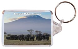 Mount Kilimanjaro - Tanzania - Africa - Double Sided Large Keyring Key Fob Chain Ring Gift Present Souvenir T1
