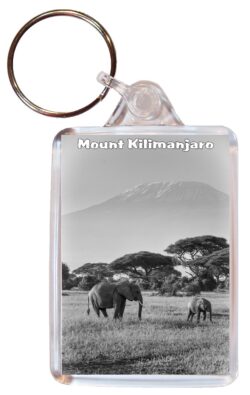 Mount Kilimanjaro - Tanzania - Africa - Double Sided Large Keyring Key Fob Chain Ring Gift Present Souvenir T4