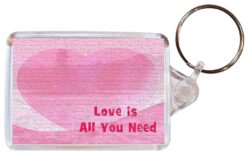 Love is all you need - Valentines Day - Double Sided Large Keyring Key Fob Chain Ring Gift Present Souvenir
