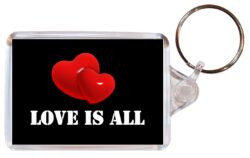 Love is all (Hearts) - Valentines Day - Double Sided Large Keyring Key Fob Chain Ring Gift Present Souvenir