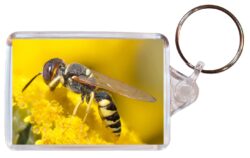 Cute Bee/Bees - Double Sided Large Keyring Key Fob Chain Ring Gift Present Souvenir B1