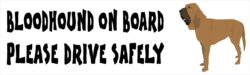 Bloodhound on Board - Please Drive Safely - Car Bumper Laptop Window Decal Sticker