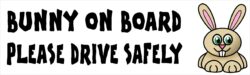 Bunny on Board - Please Drive Safely - Car Bumper Laptop Window Decal Sticker