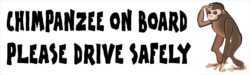 Chimpanzee on Board - Please Drive Safely - Car Bumper Laptop Window Decal Sticker