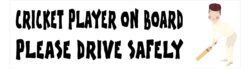 Cricket Player on Board - Please Drive Safely - Car Bumper Laptop Window Decal Sticker