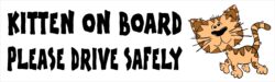 Kitten on Board - Please Drive Safely - Car Bumper Laptop Window Decal Sticker