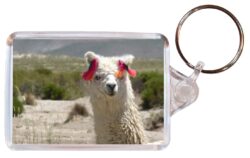 Cute Llama/Llamas - Double Sided Large Keyring Key Fob Chain Ring Gift Present Souvenir M3