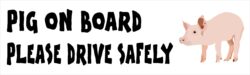 Pig on Board - Please Drive Safely - Car Bumper Laptop Window Decal Sticker