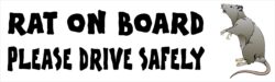 Rat on Board - Please Drive Safely - Car Bumper Laptop Window Decal Sticker