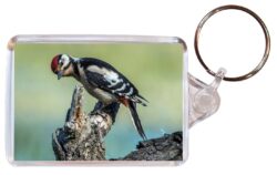 Woodpecker/Woodpeckers - Double Sided Large Keyring Key Fob Chain Ring Gift Present Souvenir M4