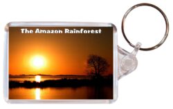 Amazon Rainforest - South America - Double Sided Large Keyring Key Fob Chain Ring Gift Present Souvenir SA1