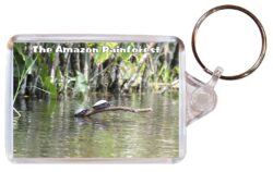 Amazon Rainforest - South America - Double Sided Large Keyring Key Fob Chain Ring Gift Present Souvenir SA2