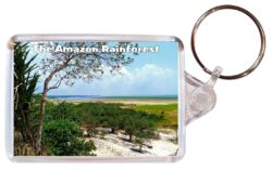 Amazon Rainforest - South America - Double Sided Large Keyring Key Fob Chain Ring Gift Present Souvenir SA3
