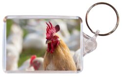Cute Chicken/Chickens - Double Sided Large Keyring Key Fob Chain Ring Gift Present Souvenir M3