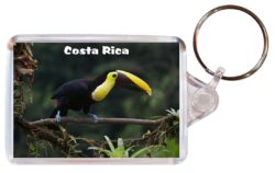 Costa Rica - Double Sided Large Keyring Key Fob Chain Ring Gift Present Souvenir CR2