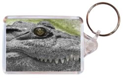 Crocodile/Crocodiles - Double Sided Large Keyring Key Fob Chain Ring Gift Present Souvenir M3