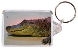 Crocodile/Crocodiles - Double Sided Large Keyring Key Fob Chain Ring Gift Present Souvenir M4