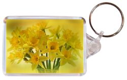 Daffodil/Daffodils - Double Sided Large Keyring Key Fob Chain Ring Gift Present Souvenir M2