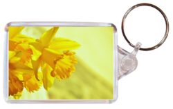 Daffodil/Daffodils - Double Sided Large Keyring Key Fob Chain Ring Gift Present Souvenir M3