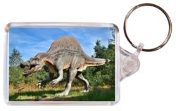 Dinosaur/Dinosaurs - Double Sided Large Keyring Key Fob Chain Ring Gift Present Souvenir M3