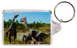 Dinosaur/Dinosaurs - Double Sided Large Keyring Key Fob Chain Ring Gift Present Souvenir M4