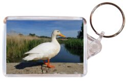 Cute Duck - Double Sided Large Keyring Key Fob Chain Ring Gift Present Souvenir M5