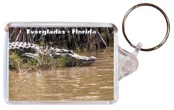 Everglades - Florida - USA - Double Sided Large Keyring Key Fob Chain Ring Gift Present Souvenir US2