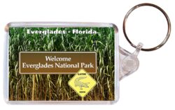 Everglades - Florida - USA - Double Sided Large Keyring Key Fob Chain Ring Gift Present Souvenir US3
