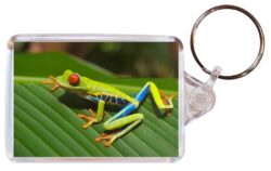 Cute Frog/Frogs - Double Sided Large Keyring Key Fob Chain Ring Gift Present Souvenir M3