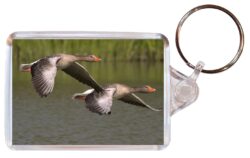 Cute Geese - Double Sided Large Keyring Key Fob Chain Ring Gift Present Souvenir M3