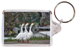 Cute Geese - Double Sided Large Keyring Key Fob Chain Ring Gift Present Souvenir M4