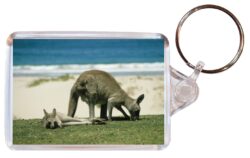 Cute Kangaroo/Kangaroos - Double Sided Large Keyring Key Fob Chain Ring Gift Present Souvenir M3