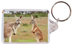 Cute Kangaroo/Kangaroos - Double Sided Large Keyring Key Fob Chain Ring Gift Present Souvenir M4