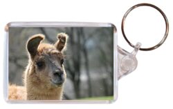 Cute Llama/Llamas - Double Sided Large Keyring Key Fob Chain Ring Gift Present Souvenir M4