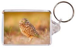Cute Owl/Owls - Double Sided Large Keyring Key Fob Chain Ring Gift Present Souvenir M4