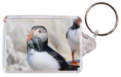 Cute Puffin/Puffins- Double Sided Large Keyring Key Fob Chain Ring Gift Present Souvenir M3