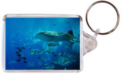 Shark/Sharks - Double Sided Large Keyring Key Fob Chain Ring Gift Present Souvenir M4
