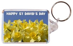 Happy St David's Day (Daffodils) - Double Sided Large Keyring Key Fob Chain Ring Gift Present Souvenir