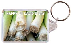 Happy St David's Day (Leeks) - Double Sided Large Keyring Key Fob Chain Ring Gift Present Souvenir