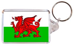 Welsh Flag - Double Sided Large Keyring Key Fob Chain Ring Gift Present Souvenir