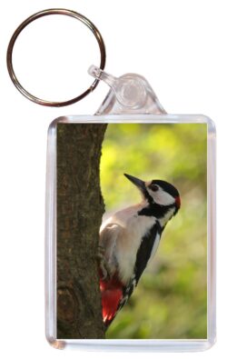 Woodpecker/Woodpeckers - Double Sided Large Keyring Key Fob Chain Ring Gift Present Souvenir M2
