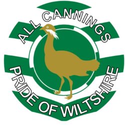 All Cannings - Pride of Wiltshire - TWO PACK - Car Bumper Laptop Window Decal County Flag Sticker