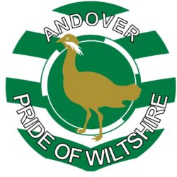 Andover - Pride of Wiltshire - TWO PACK - Car Bumper Laptop Window Decal County Flag Sticker