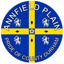 Annfield Plain - Pride of County Durham - TWO PACK - Car Bumper Laptop Window Decal County Flag Sticker