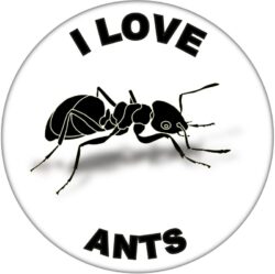 I Love Ants - 59mm Badge/Badges Fun Gift Present