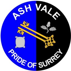 Ash Vale - Pride of Surrey - TWO PACK - Car Bumper Laptop Window Decal County Flag Sticker
