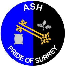 Ash - Pride of Surrey - TWO PACK - Car Bumper Laptop Window Decal County Flag Sticker